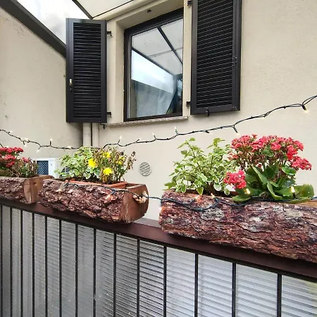 La Casa Di Joy